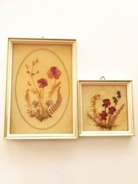 Vintage DINA  Framed Dried Flowers Set